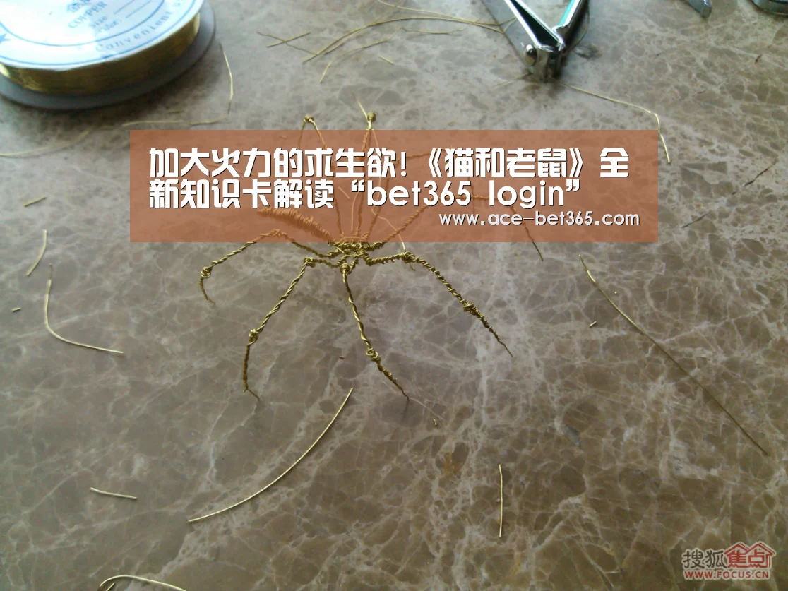 bet365 login