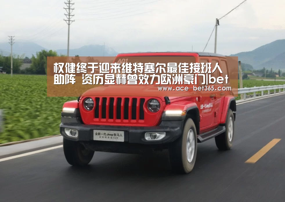 权健终于迎来维特塞尔最佳接班人助阵 资历显赫曾效力欧洲豪门|bet 365官网(图2) bet 365官网