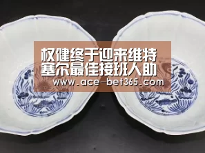 权健终于迎来维特塞尔最佳接班人助阵 资历显赫曾效力欧洲豪门|bet 365官网(图3) bet365 login
