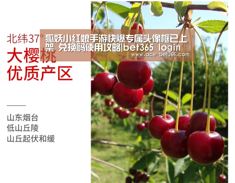 狐妖小红娘手游快爆专属头像框已上架 兑换码使用攻略|bet365 login(图1) bet 365官网