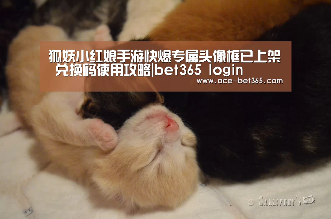 狐妖小红娘手游快爆专属头像框已上架 兑换码使用攻略|bet365 login(图2) bet365 login